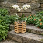 Maceta Octagonal Alta de Madera Teca No. 8