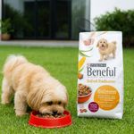 Alimento para Perro Adulto Raza Mediana y Pequeña con Salmón y Vegetales 22 Lbs