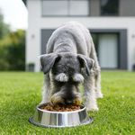 Plato Grande para Perro de Acero Inoxidable