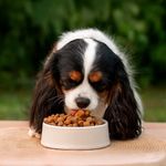 Alimento para Perro Adulto Raza Pequeña con Control de Peso  2 Kg