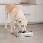 Plato para Perro Gusto Bowl Doble de 200 Ml