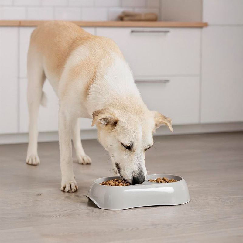 Plato para Perro Gusto Bowl Doble de 200 Ml