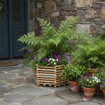 Maceta Octagonal de Madera Teca No. 16