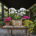 Maceta Octagonal de Madera Teca No. 14