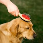 Cepillo Doble para Mascota con Mango de Madera