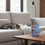 Collar Antipulgas y Garrapatas Hartz para Gatos – Hasta 7 Meses Protección