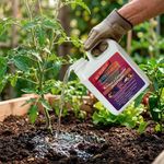 Fertilizante Foliar de 1 Litro