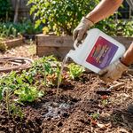 Fertilizante Foliar de 1 Galón