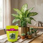 Fertilizante para Follajes de Interior Garden Feed 500 g