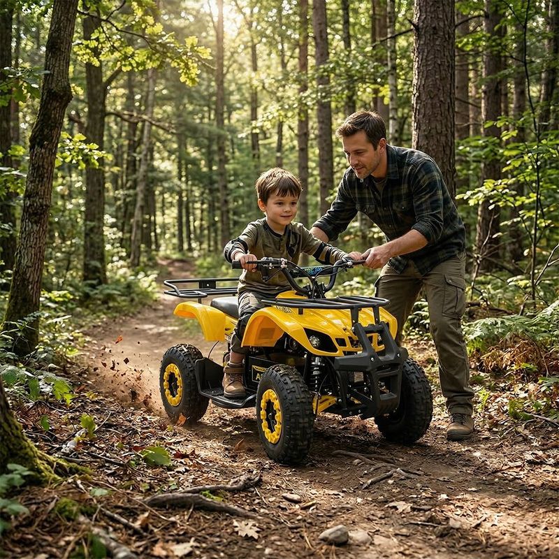 Cuatrimoto Eléctrica FX800 con Parrillas Delantera y Trasera Colores Surtidos