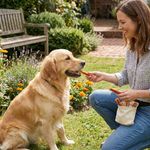 Premios para Perro SmartSticks con Mantequilla de Maní de 92 g con 5 Piezas