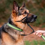 Bozal Ajustable Educativo Color Negro para Perro Talla S