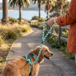 Correa Li'l Pals Mini Rope para Perro Color Aqua