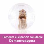Bola de Ejercicio Run About para Hámster Color Transparente de 12.7 Cm