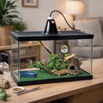 Kit Básico Tropical para Reptiles con Terrario de 20x10x12 Plg