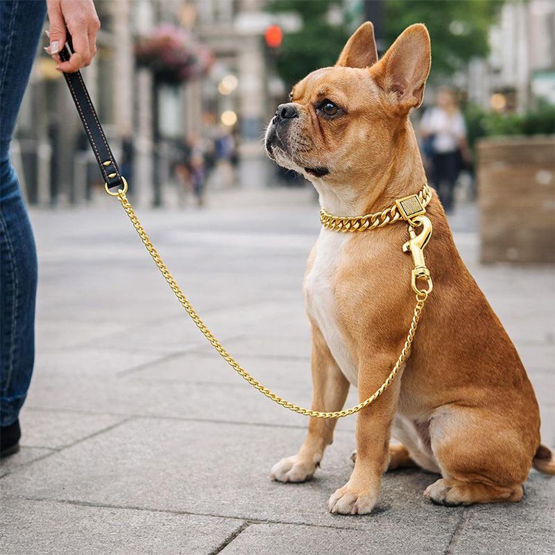 Correa para Perro Snake Chain Color Dorado de 4 Mm x 120 Cm