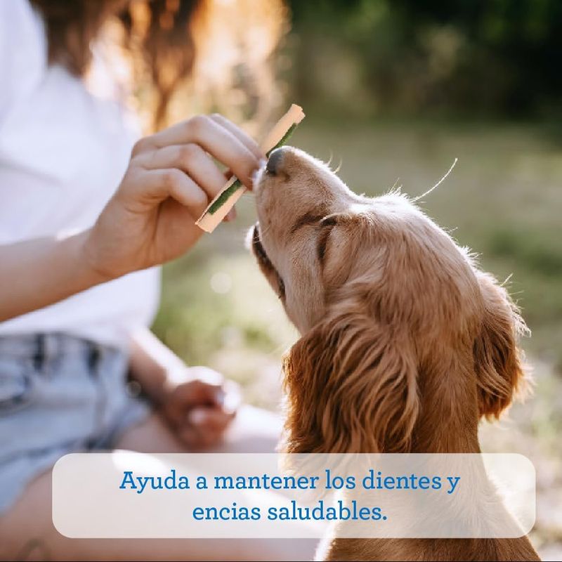 Premios para Perro SmartSticks Palitos Dentales de 92 G con 5 Piezas