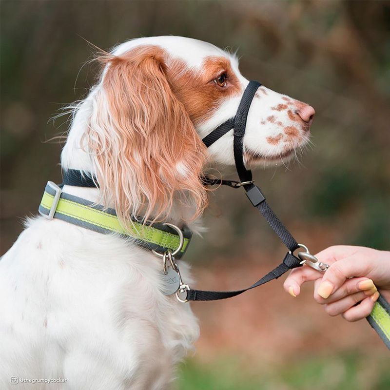 Bozal Ajustable Educativo Color Negro para Perro Talla L