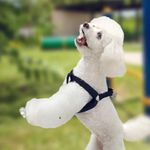 Arnés Ajustable para Perro Color Negro de 5/8 x 24 Plg Talla S