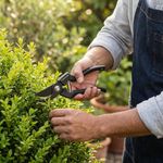 Tijera Podadora Curva para Jardín de 5 Plg Color Negro