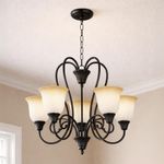 Lámpara de Techo Color Negra Estilo Clásico Decorativo de 5 Luces