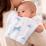 Set de Pañuelos de Muselina Azul