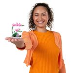 Cápsulas Coleccionables Mini Brands Create Garden Mini Jardín Surtido