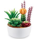 Cápsulas Coleccionables Mini Brands Create Garden Mini Jardín Surtido