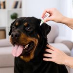 Pipeta Antipulgas y Garrapatas para Perros desde 88 a 132 Libras de 4.50 mL