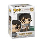 Funko Pop Harry Potter Birthday Cake Figura Coleccionable de Vinilo #174