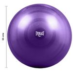 Bola de Ejercicio 55 cm