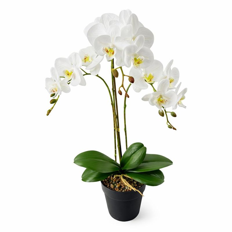 Orquídea Blanca Aritificial en Maceta Pequeña