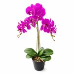 Orquídea Morada Aritificial en Maceta Pequeña