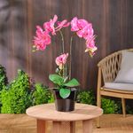 Orquídea Artificial Fucsia con Maceta Negra
