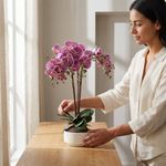 Orquídea Decorativa Púrpura con Maceta