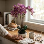 Orquídea Decorativa Púrpura con Maceta