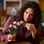 LEGO Botanical Mini Orquídea de 274 Piezas