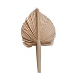 Rama Artificial Hoja Seca Color Beige de 70 cm para Floreros y Arreglos