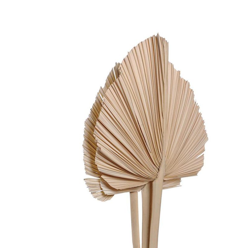 Rama Artificial Hoja Seca Color Beige de 70 cm para Floreros y Arreglos