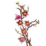 LEGO Botanical Ramas de Magnolia de 435 Pzas