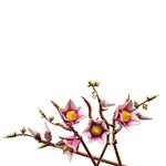 LEGO Botanical Ramas de Magnolia de 435 Pzas