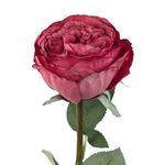 Flor Artificial Rosa Repollo Color Fucsia de 8 cm para Floreros y Arreglos