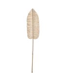 Rama Artificial Hoja Seca Color Beige de 150 cm para Floreros y Arreglos