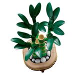 LEGO Botanical Bambú de La Suerte