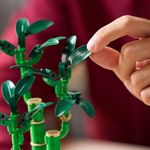 LEGO Botanical Bambú de La Suerte