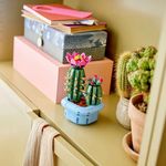 LEGO Botanicals Cactus en Flor con Maceta