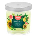 Vela Aromática en Vaso de Vidrio Aroma Girasol y Cítricos