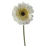 Flor Artificial Gerbera Color Blanco de 8 cm para Floreros y Arreglos