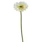 Flor Artificial Gerbera Color Blanco de 8 cm para Floreros y Arreglos