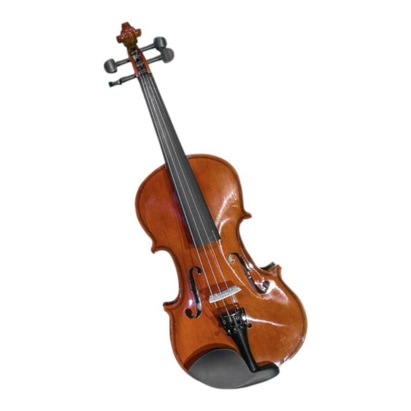 Violín Acustic Pro RBC30102 4/4 de Tilo con Estuche Arco y Resina